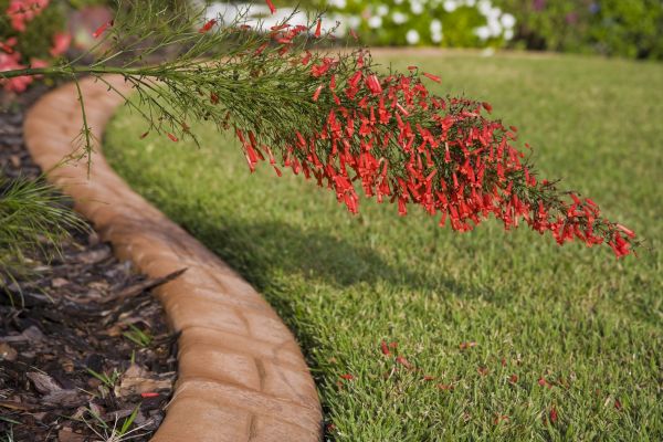Brick Edging in Post Falls